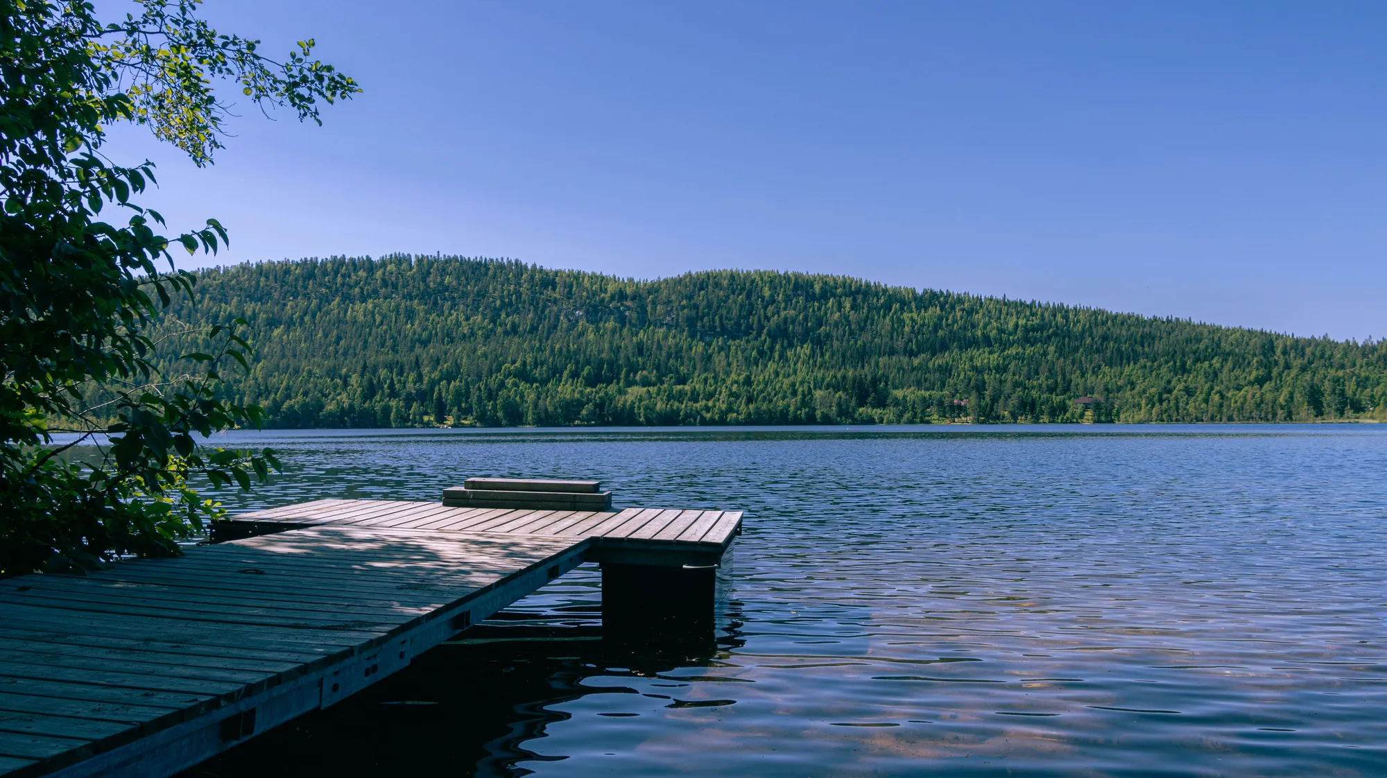 Laituri järvenrannalla metsäisen maiseman edessä Joensuun seudulla
