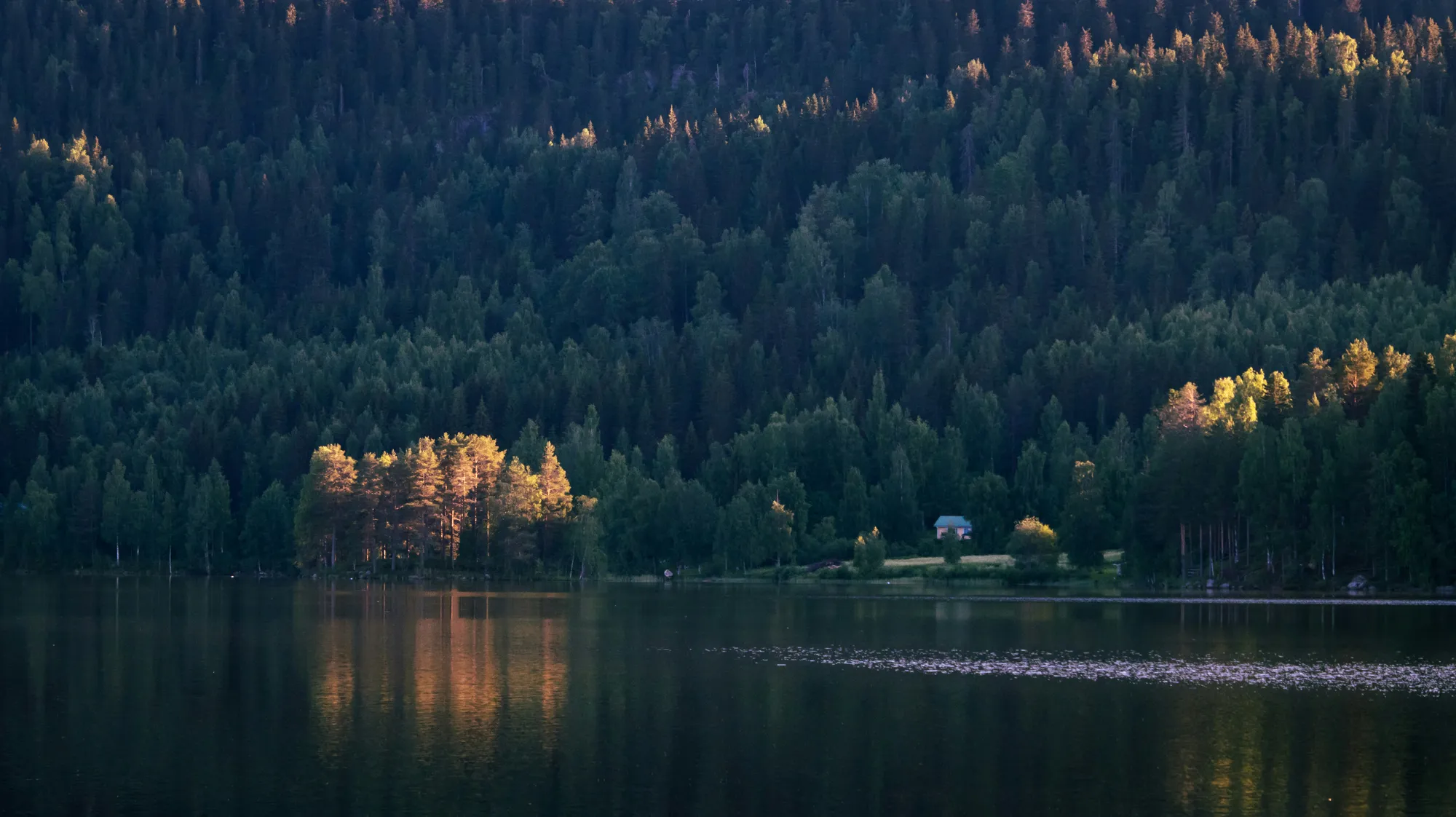 Järvimaisema metsäisten rinteiden välissä Joensuun seudulla